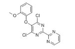 4,6-Dichloro-5-(2-methoxyphenoxy)-2,2-bipyrimidine